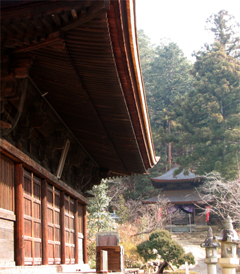 ぶどう寺 大善寺