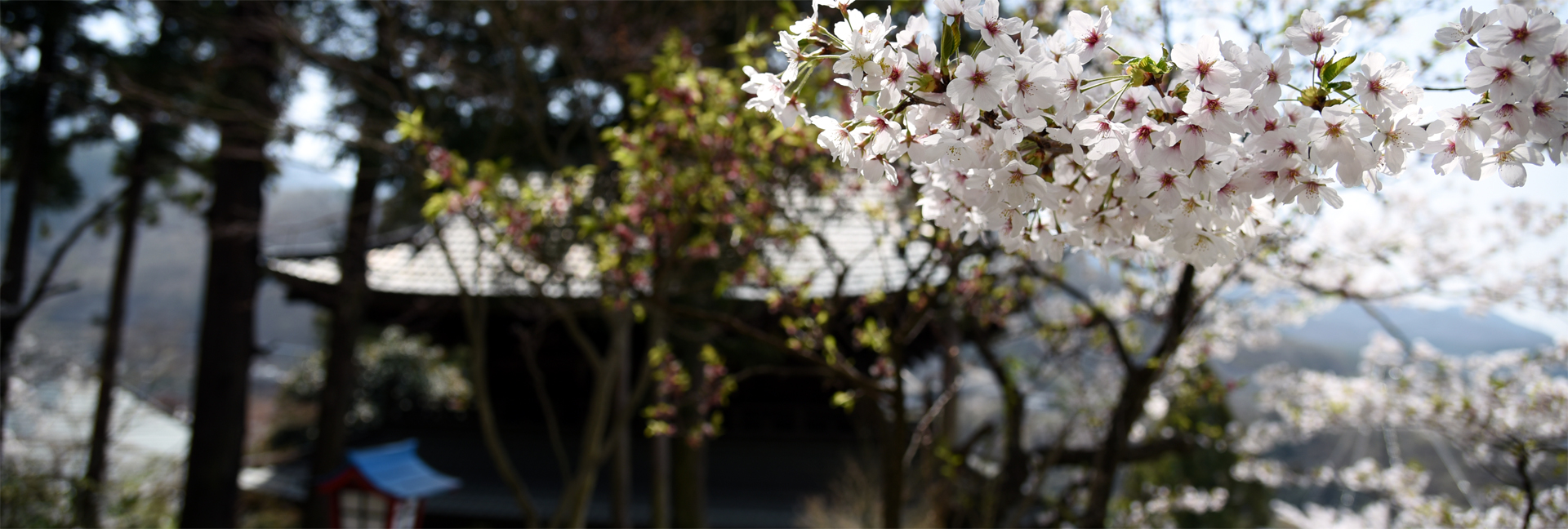 真言宗智山派 柏尾山 大善寺